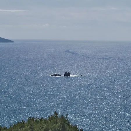 Above No 1 佩雷卡斯