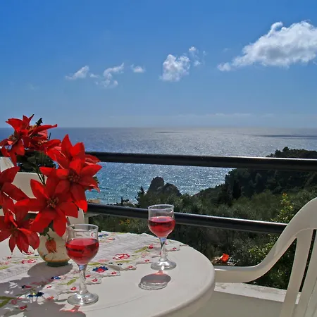 Above No 1 佩雷卡斯